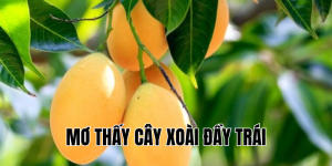 mơ thấy cây xoài đầy trái