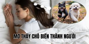 mơ thấy chó biến thành người